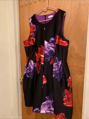 Calvin Klein Black Sleeveless Floral Fit & Flare Dress - Red & Purple Flowers
